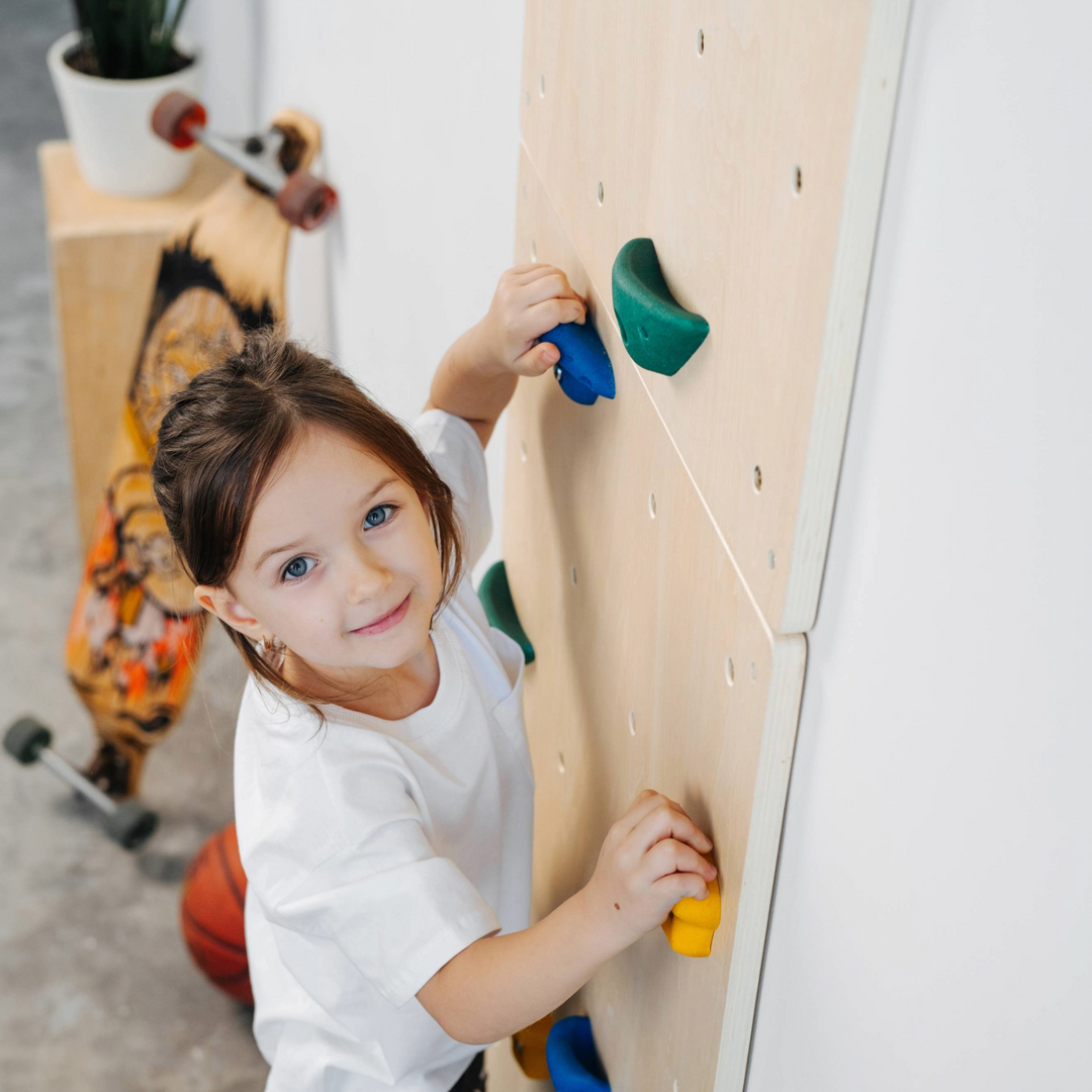 Indoor Rock Climbing Wall for Kids